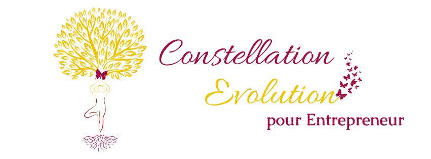 Constellation évolution entrepreneur